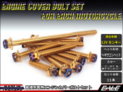 12Vモンキー エンジンカバー ボルト11本set フランジ付六角ボルト CTCヘキサゴンヘッド ゴールド&焼チタンカラー TB6110