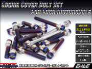 Z125 PRO(BR125) エンジンカバー ボルト18本set キャップボルト CTCテーパーヘッド シルバー&焼チタンカラー TB8032