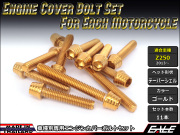 Z250(ER250) エンジンカバー ボルト11本set キャップボルト テーパーシェルヘッド ゴールド TB8052