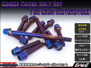 Z250(ER250) エンジンカバー ボルト11本set キャップボルト テーパーシェルヘッド 焼チタンカラー TB8053