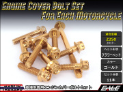 Z250(ER250) エンジンカバー ボルト11本set フランジ付六角ボルト フラワーヘッド ゴールド TB8055