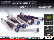 Z250(ER250) エンジンカバー ボルト11本set キャップボルト CTCテーパーヘッド シルバー&焼チタンカラー TB8057