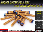 Z250(ER250) エンジンカバー ボルト11本set キャップボルト CTCテーパーヘッド ゴールド&焼チタンカラー TB8058