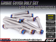 Z250(ER250) エンジンカバー ボルト11本set キャップボルト CTCテーパーシェルヘッド シルバー&焼チタンカラー TB8061