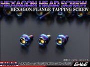 M4×12mm ヘキサゴンヘッドネジ タッピングネジ ステンレス 削り出し 六角頭 フランジ カウルやパネルなどに 焼チタンカラー TC0011 【メール便可】