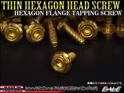 M5×16mm シンヘキサゴンヘッドネジ タッピングネジ ステンレス 削り出し 六角頭 フランジ ゴールド TC0053 【メール便可】