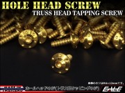 M5×25mm ホールヘッドネジ H-1 タッピングネジ ステンレス 削り出し トラス頭 ゴールド TC0115 【メール便可】