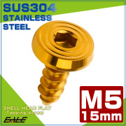 タッピングネジ M5×15mm シェルヘッドフラット 六角穴 フランジ付き ネジ SUS304 ステンレス ゴールド TC0158 【メール便可】