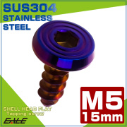 タッピングネジ M5×15mm シェルヘッドフラット 六角穴 フランジ付き ネジ SUS304 ステンレス 焼きチタンカラー TC0163 【メール便可】