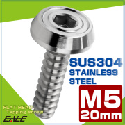 タッピングネジ M5×20mm フラットヘッド 六角穴 フランジ付き ネジ SUS304 ステンレス シルバー TC0169 【メール便可】