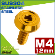 タッピングネジ M4×12mm フラットヘッド 六角穴 フランジ付き ネジ SUS304 ステンレス ゴールド TC0171 【メール便可】