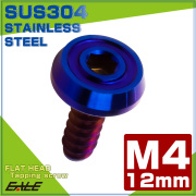 タッピングネジ M4×12mm フラットヘッド 六角穴 フランジ付き ネジ SUS304 ステンレス 焼きチタンカラー TC0176 【メール便可】
