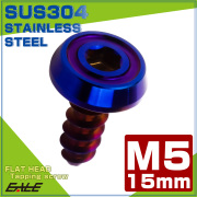 タッピングネジ M5×15mm フラットヘッド 六角穴 フランジ付き ネジ SUS304 ステンレス 焼きチタンカラー TC0178 【メール便可】