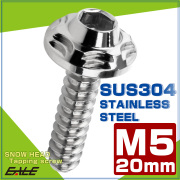 タッピングネジ M5×20mm スノーヘッド 六角穴 フランジ付き ネジ SUS304 ステンレス シルバー TC0184 【メール便可】