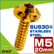 タッピングネジ M5×20mm スノーヘッド 六角穴 フランジ付き ネジ SUS304 ステンレス ゴールド TC0189 【メール便可】