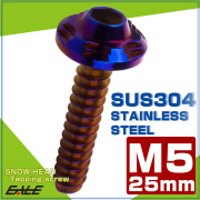 タッピングネジ M5×25mm スノーヘッド 六角穴 フランジ付き ネジ SUS304 ステンレス 焼きチタンカラー TC0195 【メール便可】