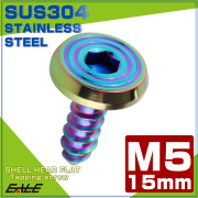 タッピングネジ M5×15mm シェルヘッドフラット 六角穴 フランジ付き ネジ SUS304 ステンレス レインボーグリーン TC0203 【メール便可】