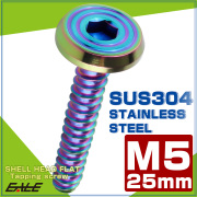タッピングネジ M5×25mm シェルヘッドフラット 六角穴 フランジ付き ネジ SUS304 ステンレス レインボーグリーン TC0205 【メール便可】