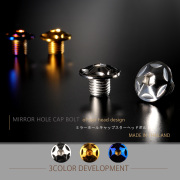 ミラーホールカバー キャップ スターヘッド 2個セット M10×10mm 正ネジ P1.25 SUS304 ステンレス製 シルバー TH0101 【メール便可】