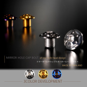 ミラーホールカバー キャップ スターホールヘッド 2個セット M10×10mm 正ネジ P1.25 SUS304 ステンレス製 シルバー TH0121 【メール便可】