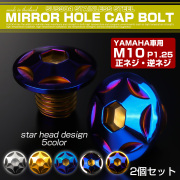 ミラーホールカバーボルト キャップ M10×10mm P1.25 正ネジ 逆ネジ 2個セット ヤマハ車用 スターヘッド SUS304 焼きチタン TH0182 【メール便可】