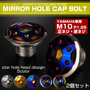 ミラーホールカバーボルト キャップ M10×10mm P1.25 正ネジ 逆ネジ 2個セット ヤマハ車用 スターホールヘッド SUS304 シルバー＆ブルー TH0191 【メール便可】