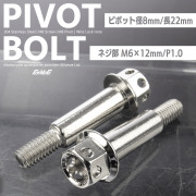 バイクレバー 取付用 ピボットボルト M6 P1.0 ピボット径8mm ステンレス ワイヤーロック穴 シルバー 2本セット TH0541 【メール便可】