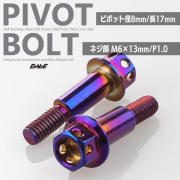 バイクレバー 取付用 ピボットボルト ピボット径8mm M6 P1.0 ステンレス ワイヤーロック穴 焼チタン色 ブルー系 2本セット TH0546【メール便可】