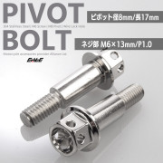 バイク レバー用 ピボットボルト M6 P1.0 ピボット径8mm ステンレス製 ワイヤーロック穴付き 補修 交換 カスタム シルバー 2本セット TH0547【メール便可】