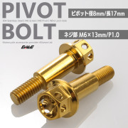 バイク レバー用 ピボットボルト M6 P1.0 ピボット径8mm ステンレス製 ワイヤーロック穴付き 補修 交換 カスタム ゴールド 2本セット TH0548【メール便可】