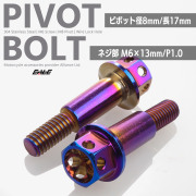 バイク レバー用 ピボットボルト M6 P1.0 ピボット径8mm ステンレス製 ワイヤーロック穴付き 補修 交換 カスタム 焼チタン 2本セット TH0549【メール便可】