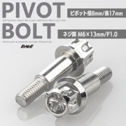 バイクレバー 取付用 ピボットボルト ピボット径8mm M6 P1.0 ステンレス ワイヤーロック穴 A3ヘッド シルバー 2本セット TH0550【メール便可】