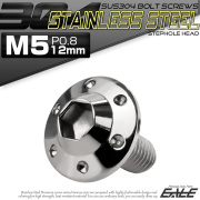 ボタンボルト M5×12mm P0.8 ステップ ホールヘッドボルト フランジ付 六角穴 SUS304 ステンレス シルバー TR0172 【メール便可】