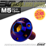 20個セット ボタンボルト M5×12mm P0.8 ステップ ホールヘッドボルト フランジ付 六角穴 SUS304 ステンレス 焼きチタン TR0200-20SET