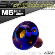 ボタンボルト M5×12mm P0.8 ステップ ホールヘッドボルト フランジ付 六角穴 SUS304 ステンレス 焼きチタン TR0200 【メール便可】