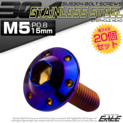 20個セット ボタンボルト M5×15mm P0.8 ステップ ホールヘッドボルト フランジ付 六角穴 SUS304 ステンレス 焼きチタン TR0201-20SET