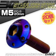 20個セット ボタンボルト M5×20mm P0.8 ステップ ホールヘッドボルト フランジ付 六角穴 SUS304 ステンレス 焼きチタン TR0202-20SET