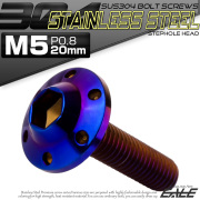 ボタンボルト M5×20mm P0.8 ステップ ホールヘッドボルト フランジ付 六角穴 SUS304 ステンレス 焼きチタン TR0202 【メール便可】