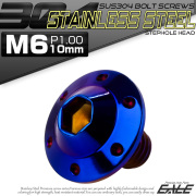 ボタンボルト M6×10mm P1.00 ステップ ホールヘッドボルト フランジ付 六角穴 SUS304 ステンレス 焼きチタン TR0204 【メール便可】