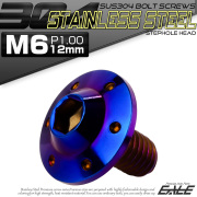 ボタンボルト M6×12mm P1.00 ステップ ホールヘッドボルト フランジ付 六角穴 SUS304 ステンレス 焼きチタン TR0205 【メール便可】