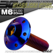 ボタンボルト M6×20mm P1.00 ステップ ホールヘッドボルト フランジ付 六角穴 SUS304 ステンレス 焼きチタン TR0207 【メール便可】