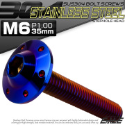 ボタンボルト M6×35mm P1.00 ステップ ホールヘッドボルト フランジ付 六角穴 SUS304 ステンレス 焼きチタン TR0210 【メール便可】