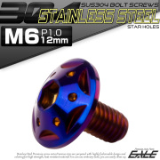 ボタンボルト スターホールヘッド M6×12mm P1.0 フランジ付 六角穴 SUS304 ステンレス  焼きチタン TR0247 【メール便可】