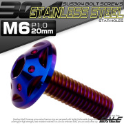 ボタンボルト スターホールヘッド M6×20mm P1.0 フランジ付 六角穴 SUS304 ステンレス  焼きチタン TR0249 【メール便可】