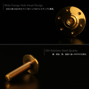 M10×40mm P1.25 ボタンボルト ワイドフランジ ホールヘッド ステンレス SUS304 ゴールド TR0310 【メール便可】