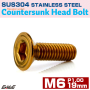 皿ボルト M6×19mm P1.00 シェルヘッド SUS304 ステンレス 六角穴 皿キャップ ゴールド TR0418 【メール便可】