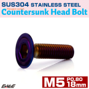 皿ボルト M5×18mm P0.8 シェルヘッド SUS304 ステンレス 六角穴 皿キャップ 焼きチタンカラー TR0420 【メール便可】