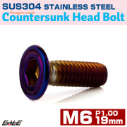 皿ボルト M6×19mm P1.00 シェルヘッド SUS304 ステンレス 六角穴 皿キャップ 焼きチタンカラー TR0422 【メール便可】