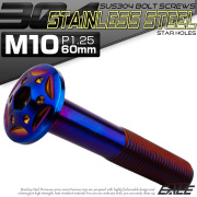 ボタンボルト スターホールヘッド M10×60mm P1.25 フランジ付 六角穴 SUS304 ステンレス  焼きチタン TR0713 【メール便可】