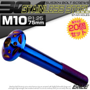 20個セット ボタンボルト スターホールヘッド M10×75mm P1.25 フランジ付 六角穴 SUS304 ステンレス  焼きチタン TR0716-20SET